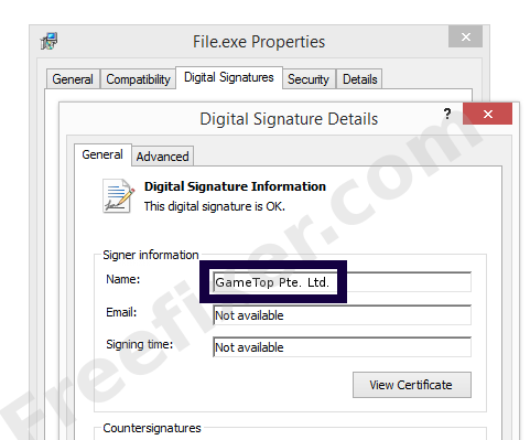 Screenshot of the GameTop Pte. Ltd. certificate
